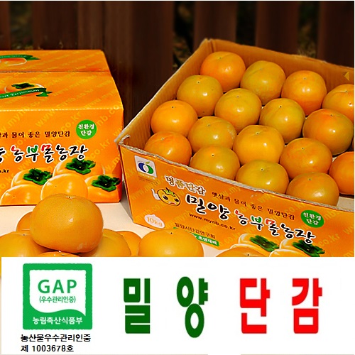 햇단감 GAP인증  밀양단감 부유5kg( 17-20과 특대과 최상품) 무료배송